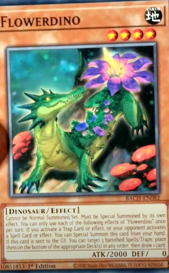 Dinofleur