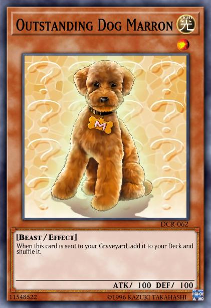 Chien Marron Exceptionnel