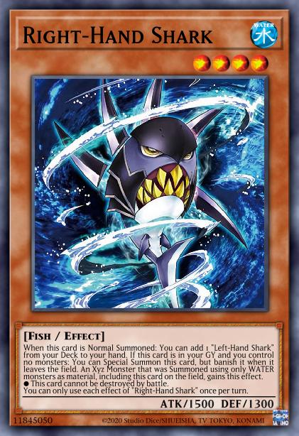 Requin à Droite