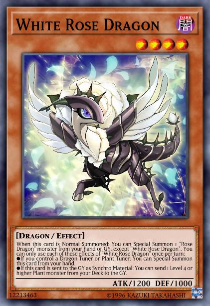 Dragon Rose Blanche