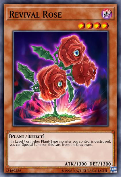 Rose de Résurrection