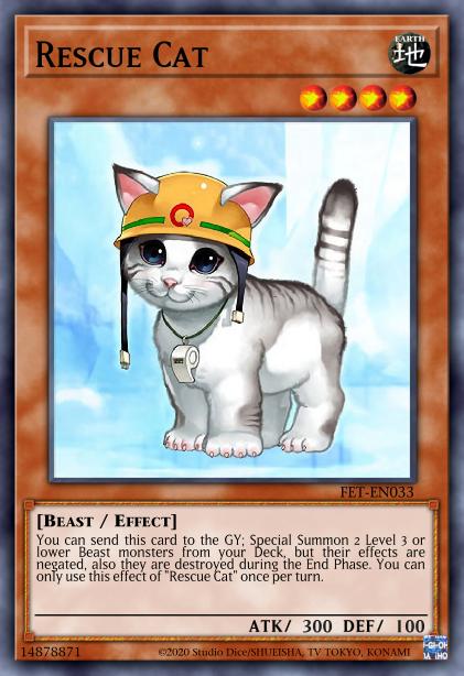Chat Sauveteur