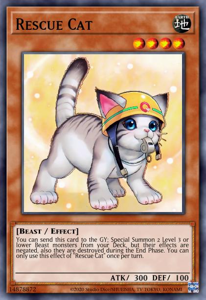 Chat Sauveteur