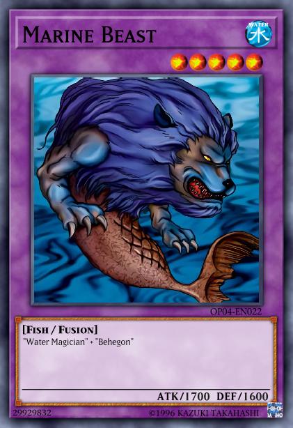 Animal marin