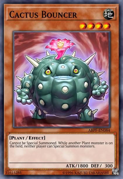 Videur Cactus