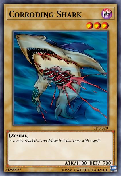 Shark