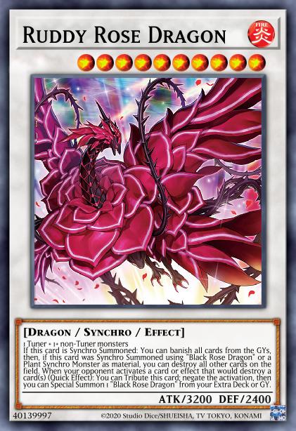 Dragon Rose Rougeâtre
