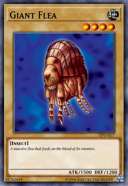 Puce Géante