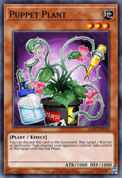 Plante Fantoche
