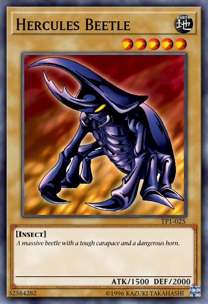 Scarabée Hercule