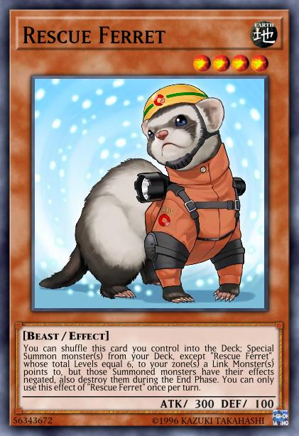 Furet Sauveteur