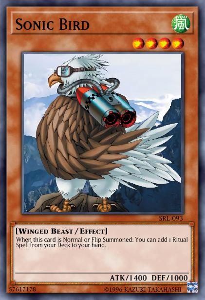 Oiseau Supersonique