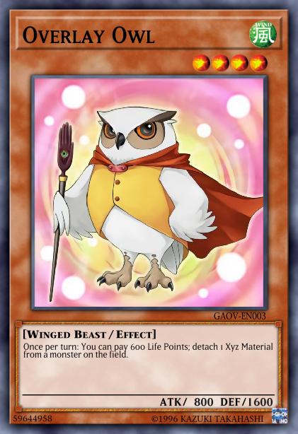 Hibou Habillé