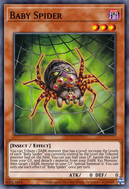 Spider