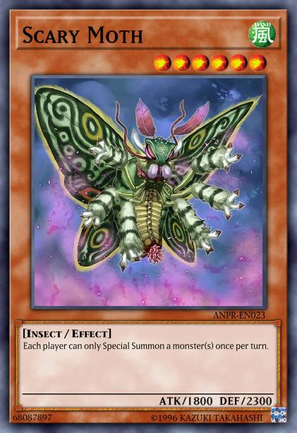 Papillon du Chaos