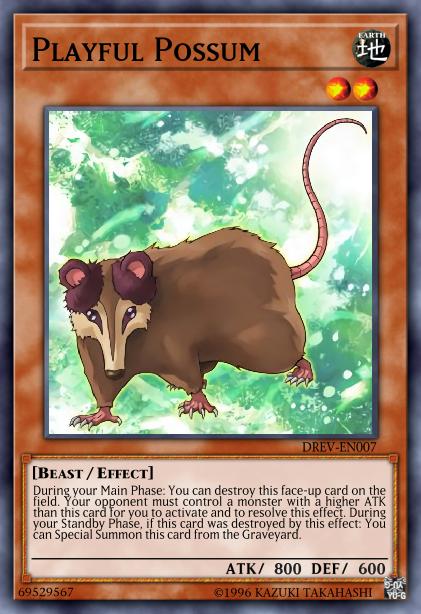 Opossum Taquin