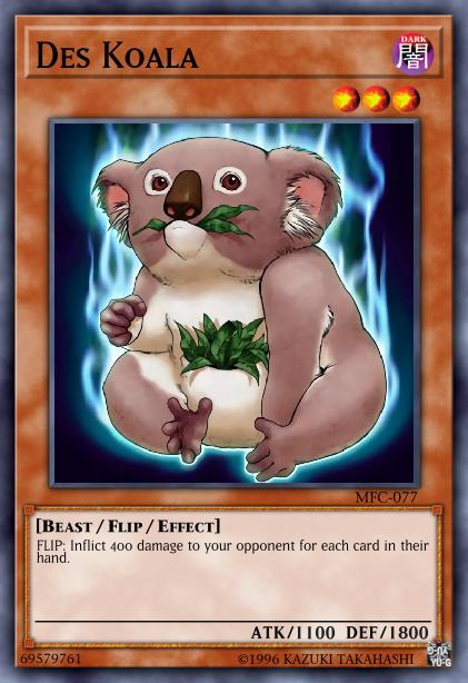 Koala Des
