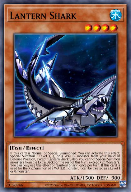 Requin Lanterne