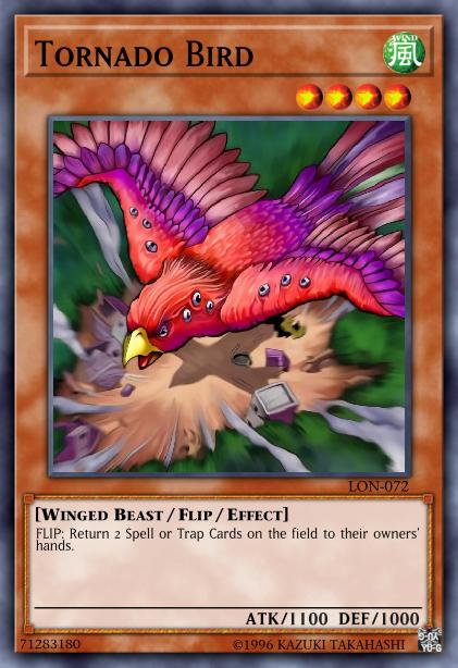 Oiseau Tornade