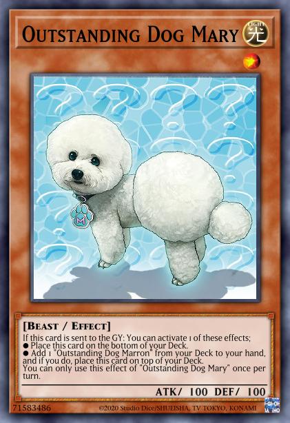 Chien Mary Exceptionnel