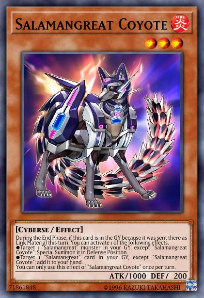 Salamangrande Coyote