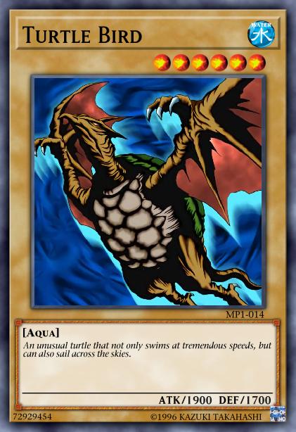 Turtle Bird