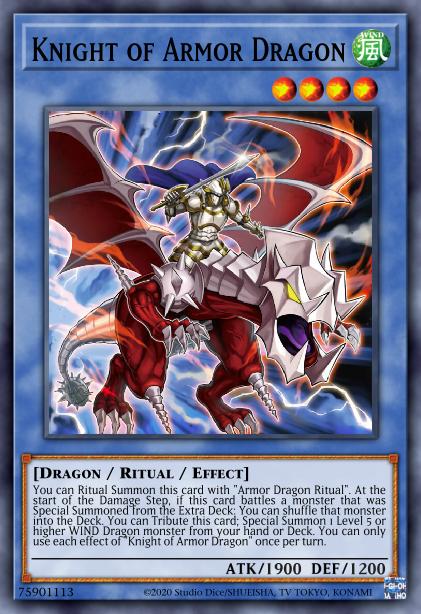 Paladins of Dragons