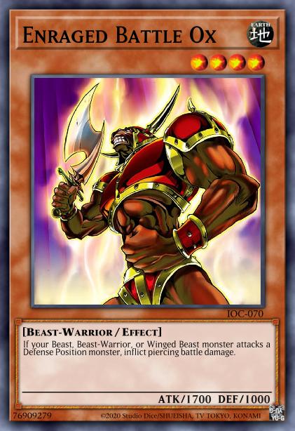 Boeuf de Combat Enragé