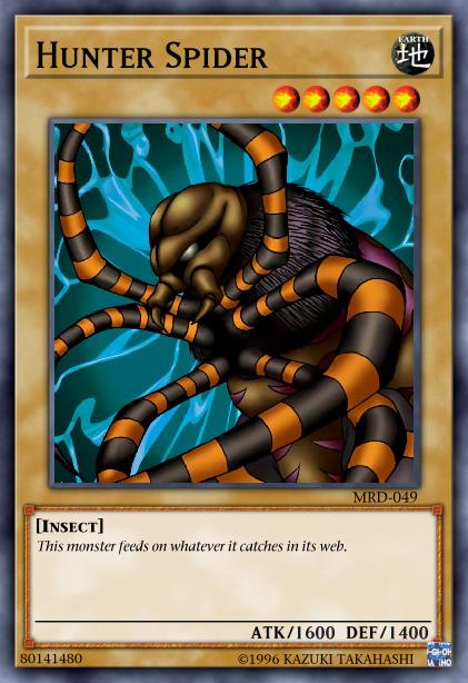 Araignée Chasseuse