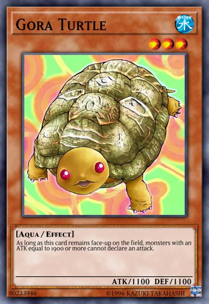 Tortue Gora