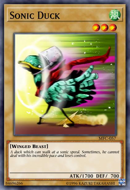 Canard Supersonique