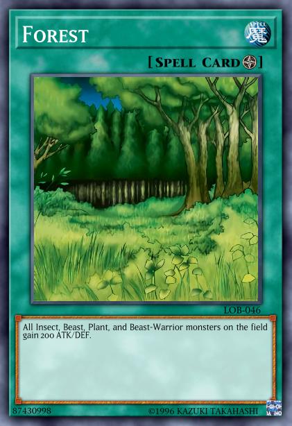 Forêt