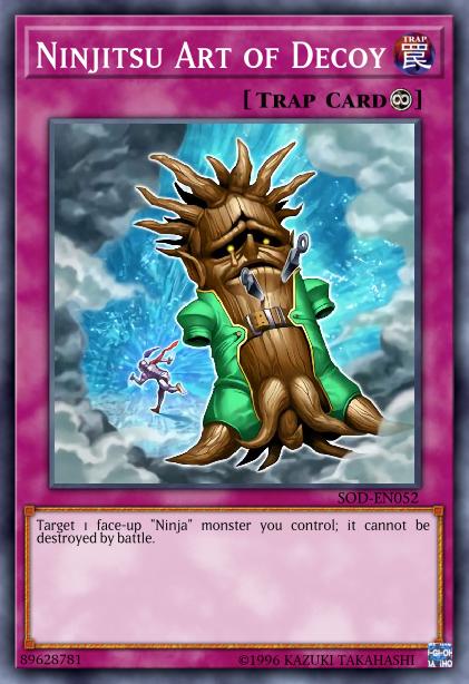 Art de se Soustraire Ninjitsu