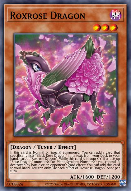 Dragon Rose Châtaigne