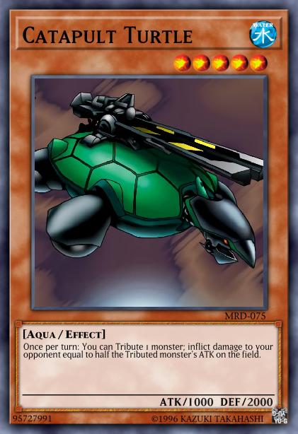 Tortue Catapulte