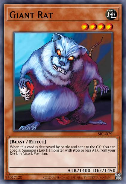 Rat Géant