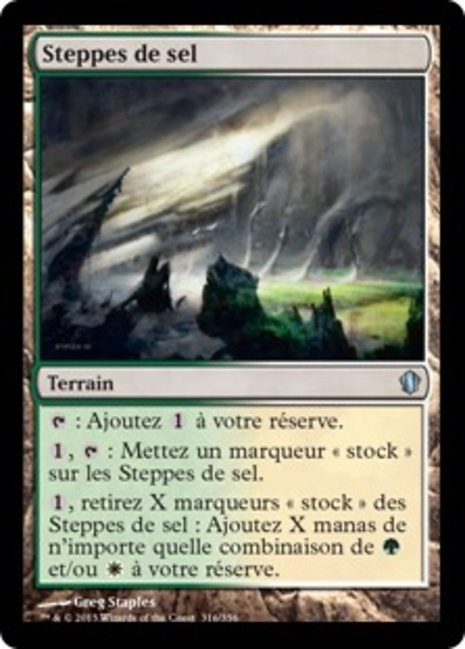 Steppes de sel