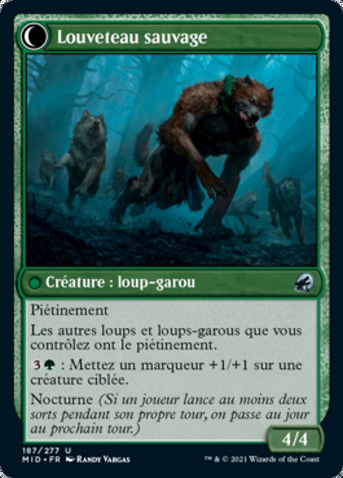 Dresseur de chien