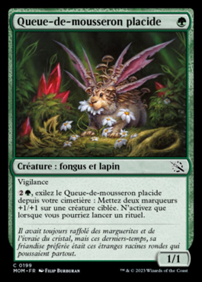 Queue-de-mousseron placide