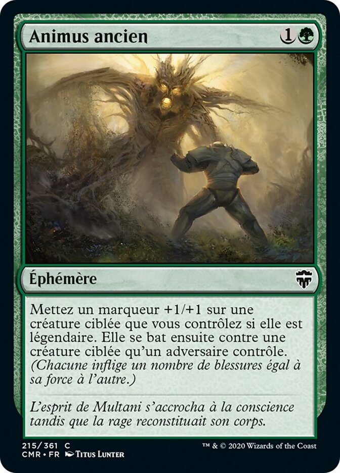 Animus ancien