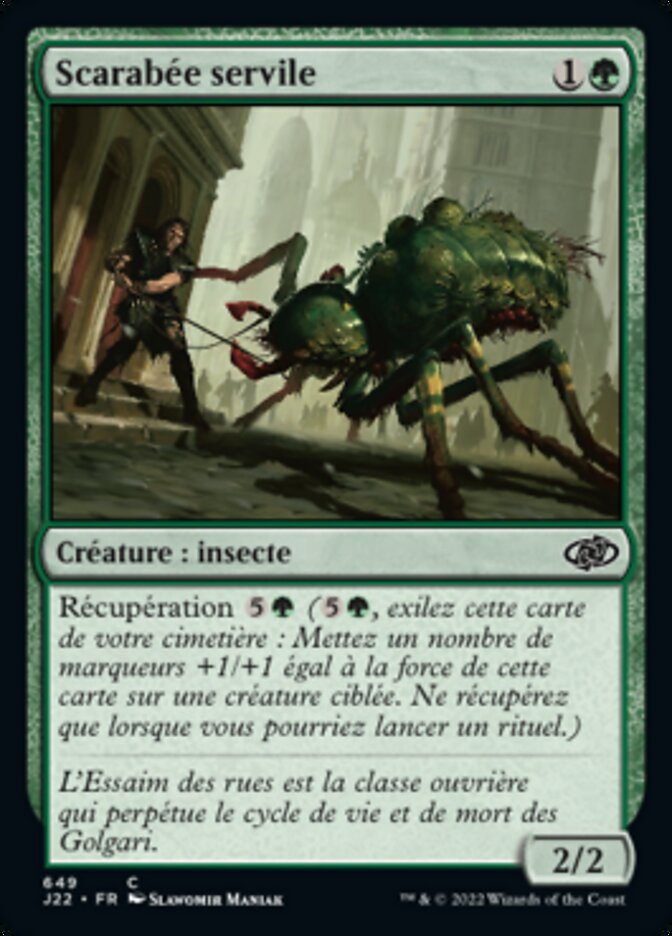 Scarabée servile