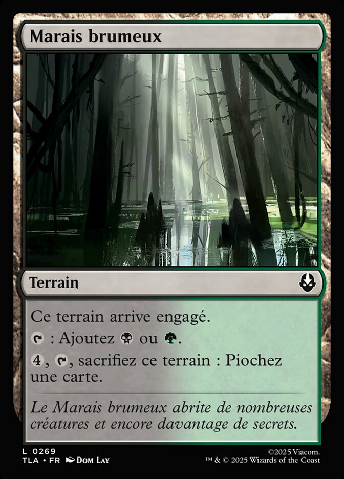 Marais brumeux