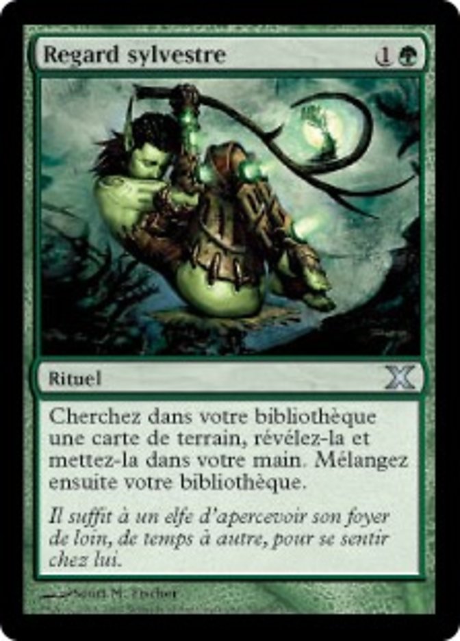 Regard sylvestre