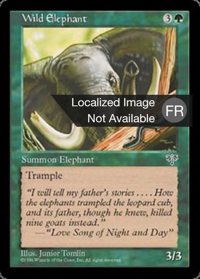 Eléphant sauvage
