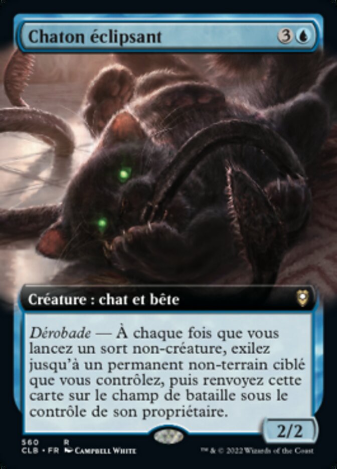 Chaton éclipsant
