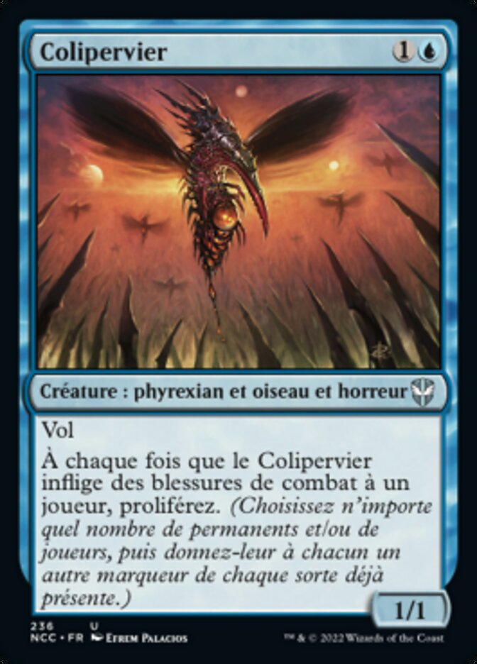 Colipervier