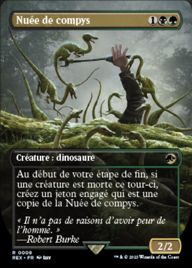 Nuée de compys