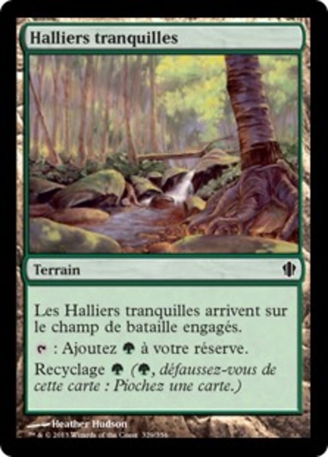 Halliers tranquilles