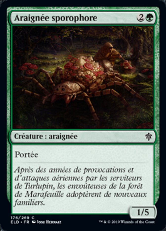 Araignée sporophore