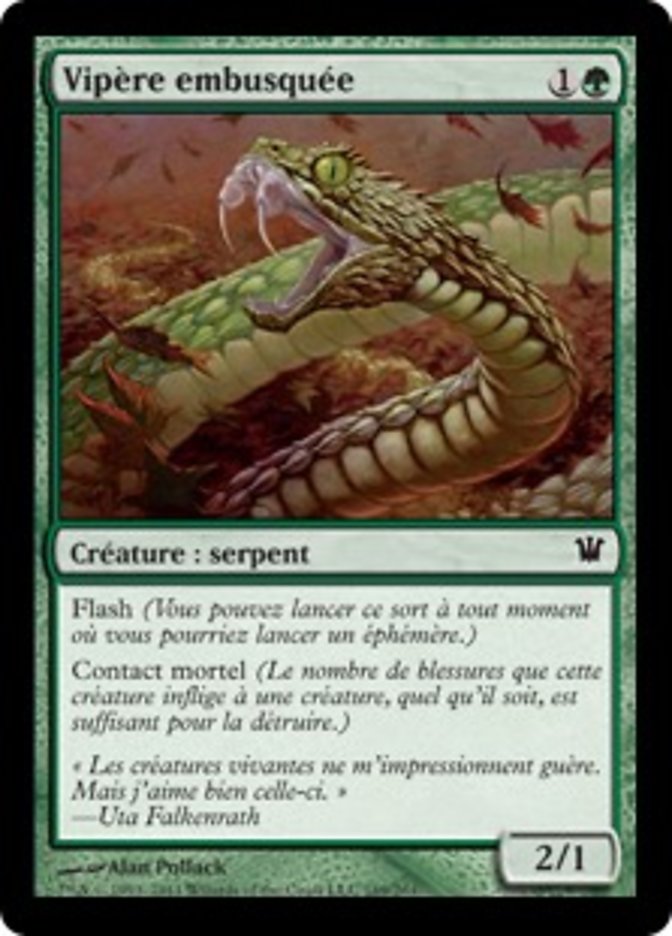 Vipère embusquée